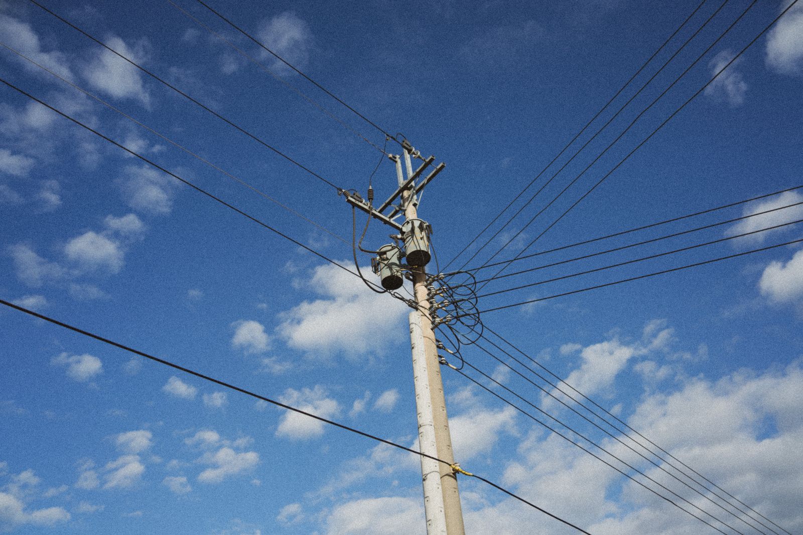 Utility distribution lines against the sky